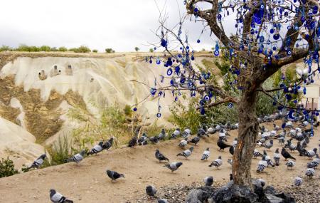 Pigeon Valley Image
