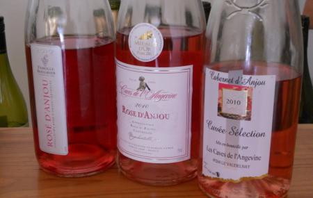 The Vine And Wine Museum Of Anjou-saumur Image