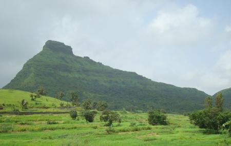 Tikona Fort Image