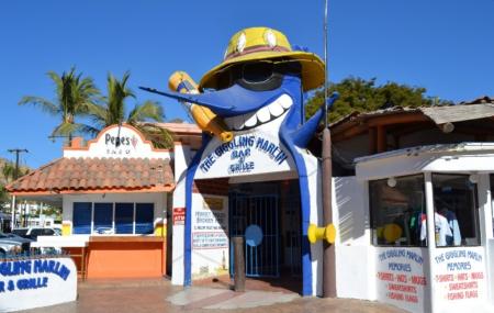 Giggling Marlin Image