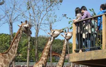 Dalian Forest Zoo Image