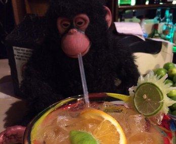Monkey Business Bar Image