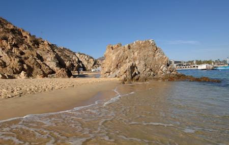 Cannery Beaches Image