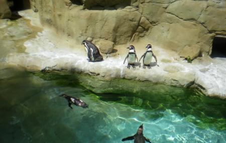 Parc Zoologique Image
