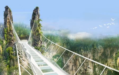The Grand Canyon Of Zhangjiajie Image