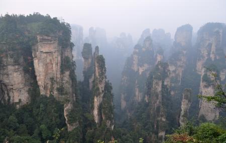 tianzi mountains climbing