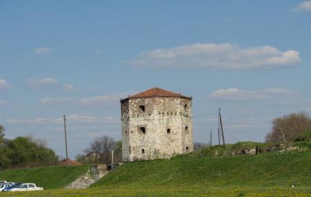 Nebojsa Tower Image