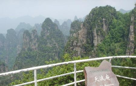 Zhangjiajie Tianbofu Scenic Resort Viewpoint Image