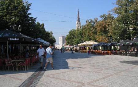 Dunavska Street & Zmaj Jovina Street Image
