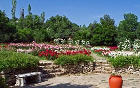 Botanical Garden Ecopark Image