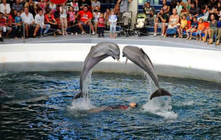 Dolphinarium, Varna | Ticket Price | Timings | Address: TripHobo