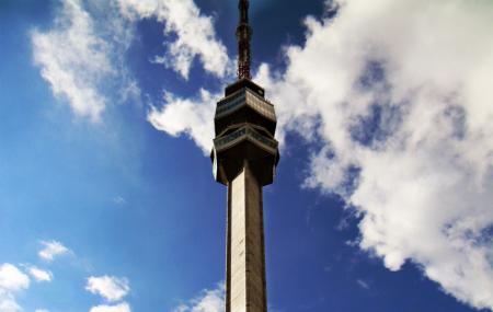 Avala Tower Image