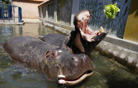 Belgrade Zoo Image