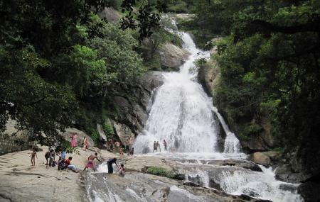 Monkey Falls Image