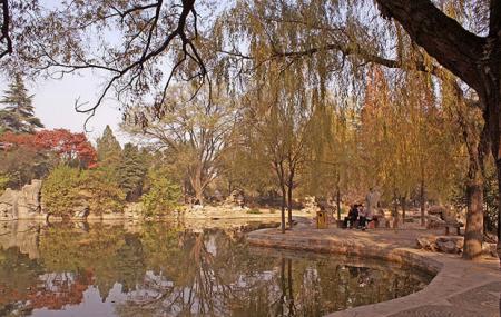 King City Park Image