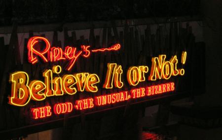 Ripleys Believe It Or Not Image