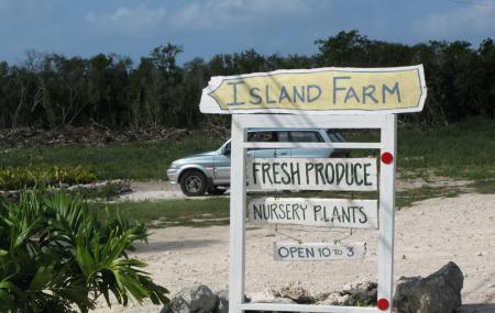 Island Farm Image