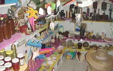 Rebeccas Beach Shop Image