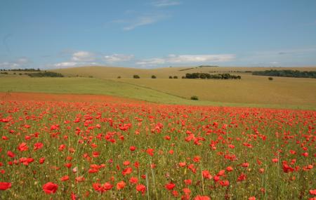 Ditchling Beacon Image