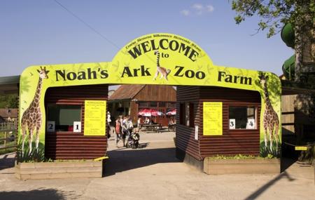 Noah's Ark Zoo Farm, Bristol | Ticket Price | Timings | Address: TripHobo