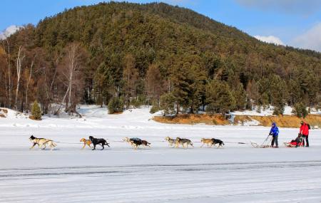Baikal Dog Sledding Centre Image