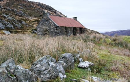 Coille Dalavil Image