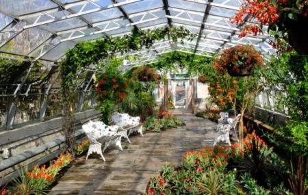 David Welch Winter Gardens Image