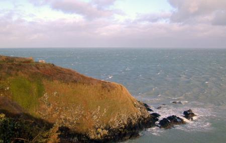 Saint-brieuc Bay Natural Reserve Image