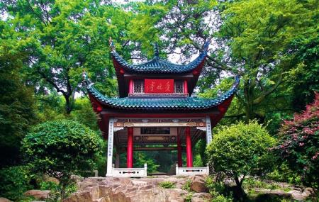 Aiwan Pavilion Image