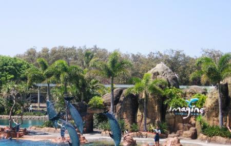 Sea World Gold Coast Image