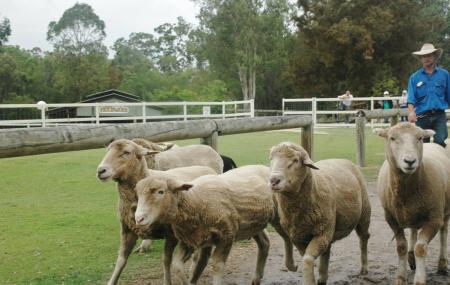 Paradise Country Aussie Farm Tour Image