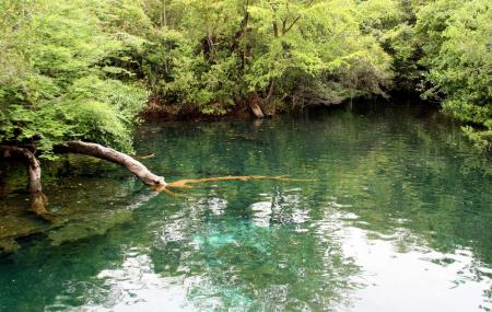 Indigenous Eyes Ecological Park & Reserve Image