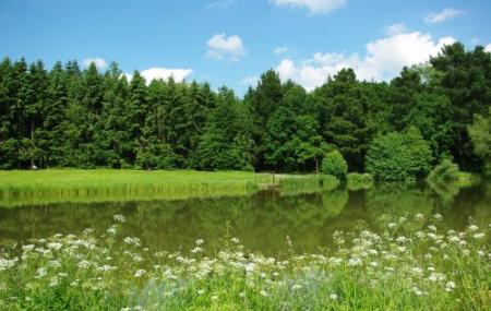 Parc Des Gayeulles Image