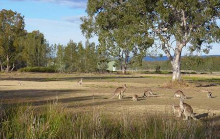 Coombabah Lakelands Conservation Area- Eastern Section Image
