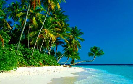 Conco Island Image