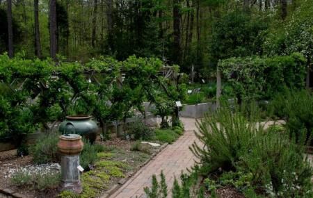 North Carolina Botanical Garden Chapel Hill Ticket Price