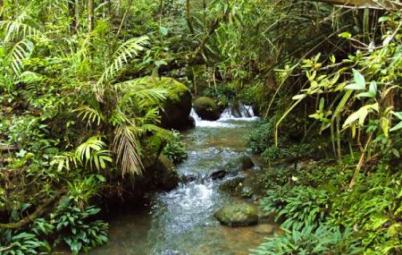 Kinabalu Park Image