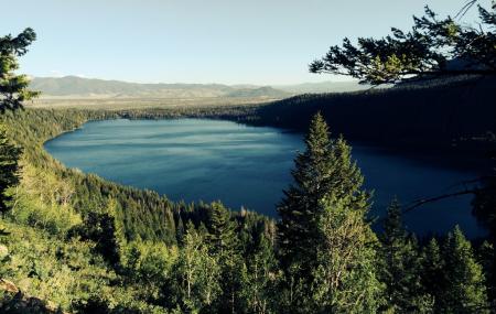 Phelps Lake Trail Image