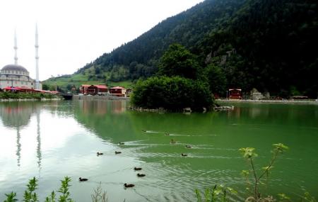 Uzungol Lake Image