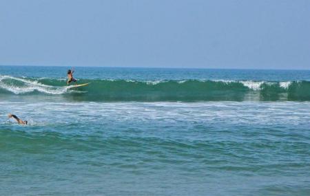 Surf Wala Image