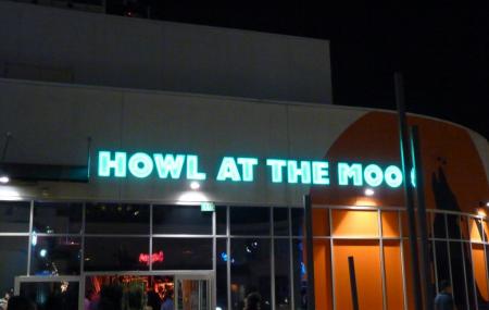 Howl At The Moon Image