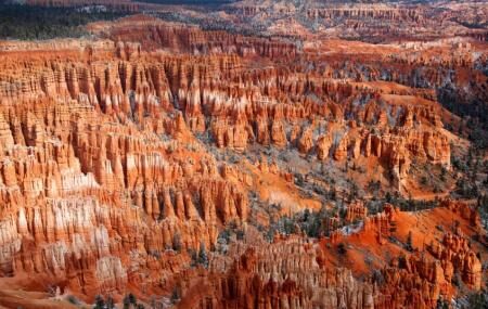Bryce Point Image