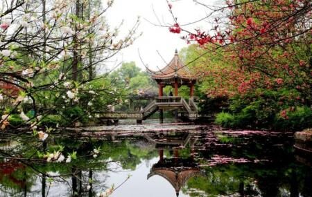 Wuhan Botanical Garden Image