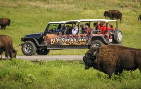 Buffalo Safari Jeep Tour Image