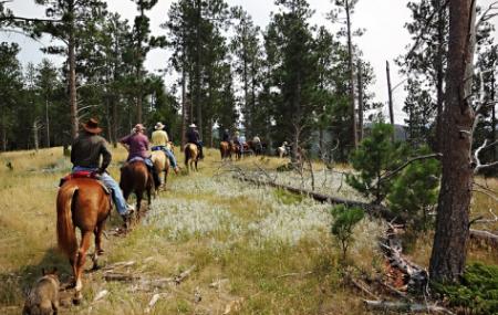 Guided Horseback Trail Rides Image