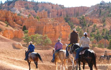 Panderosa Trail Rides Image