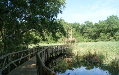 Parque Isla Salamanca Image