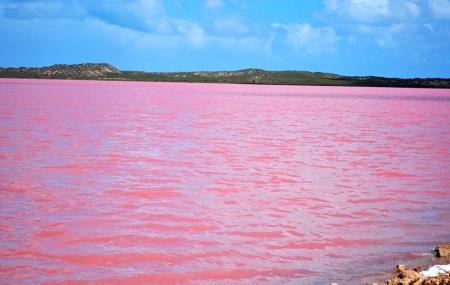 Pink Lake Kalbarri Map Pink Lake, Kalbarri | Ticket Price | Timings | Address: Triphobo