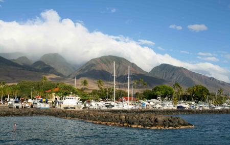 Lahaina Harbour Image