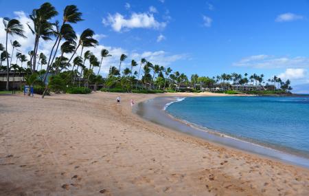 Napili Beach Image
